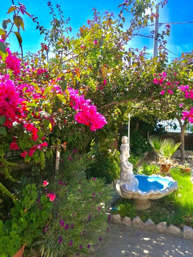 Villa Tripepi Bova Marina Dış mekan fotoğraf